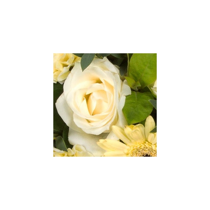 Massed Cushion - same day or named day delivery - Rushes Florist