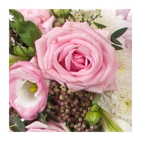 MUM Tribute - same day or named day delivery - Rushes Florist