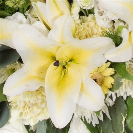 Lemon and White Wreath - same day or named day delivery - Rushes Florist