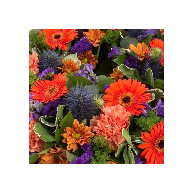 Orange and Purple Wreath - same day or named day delivery - Rushes Florist