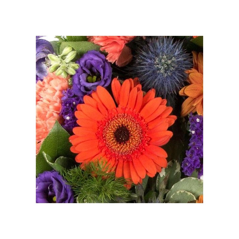 Orange and Purple Wreath - same day or named day delivery - Rushes Florist