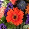 Orange and Purple Wreath - same day or named day delivery - Rushes Florist