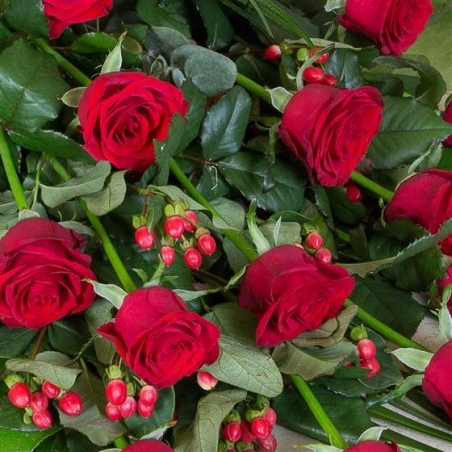 Classic Red Roses - same day or named day delivery - Rushes Florist