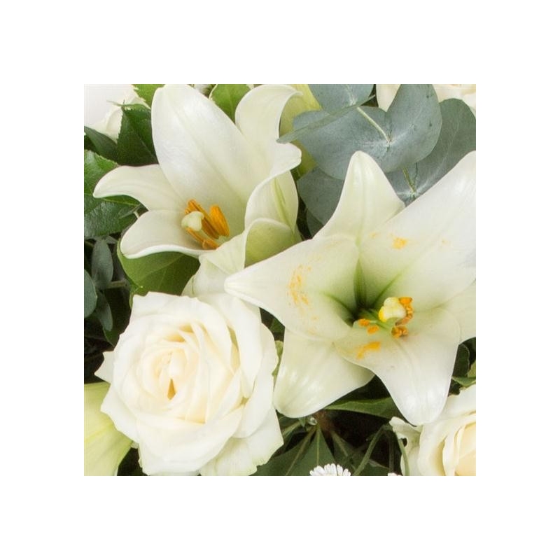 Longiflorum Spray - same day or named day delivery - Rushes Florist