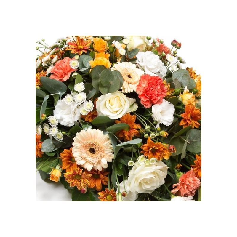 Orange & White - same day or named day delivery - Rushes Florist