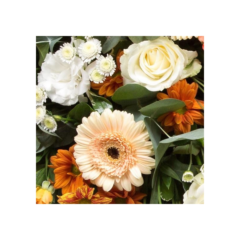 Orange & White - same day or named day delivery - Rushes Florist
