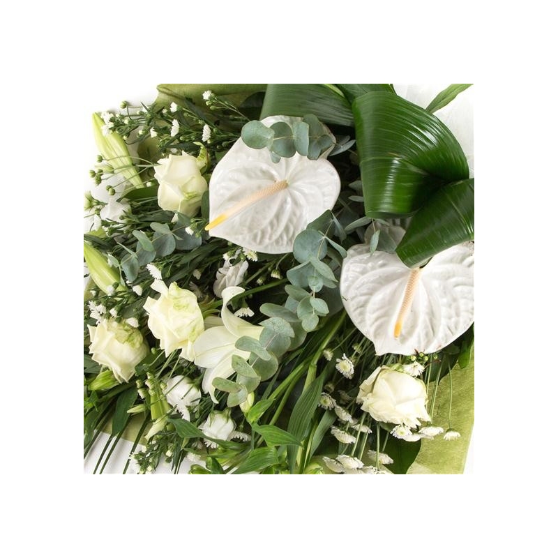 Contemporary White Sheaf - same day or named day delivery - Rushes Florist