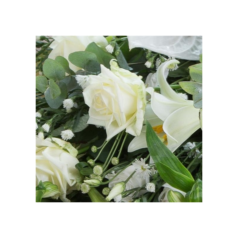 Contemporary White Sheaf - same day or named day delivery - Rushes Florist