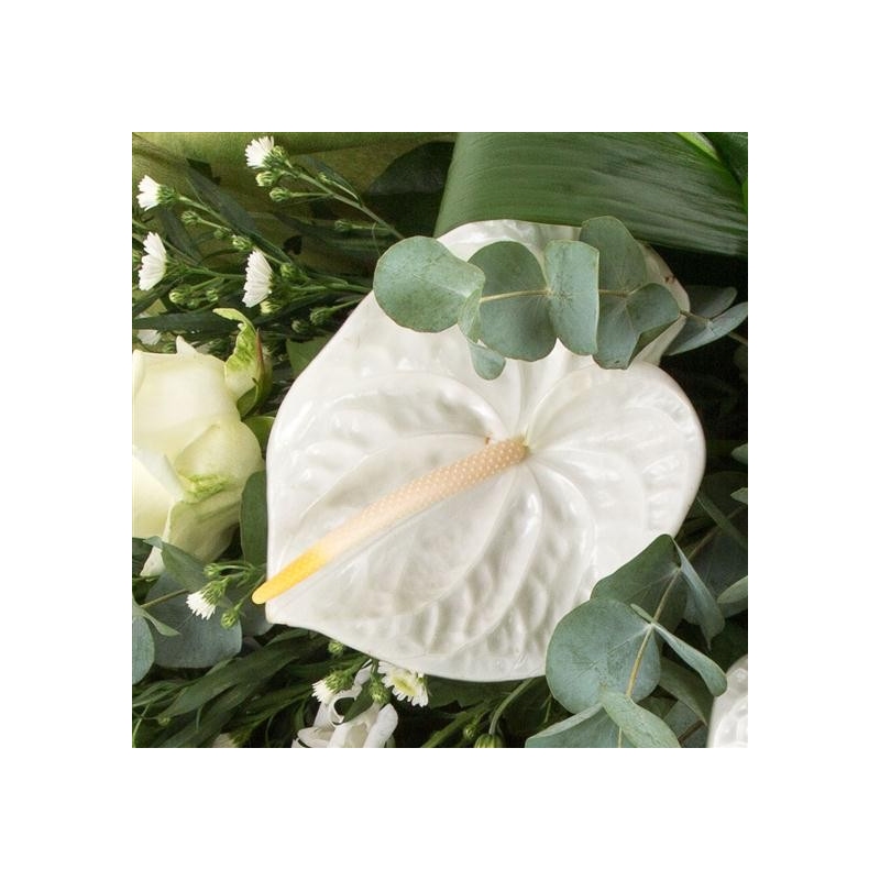 Contemporary White Sheaf - same day or named day delivery - Rushes Florist