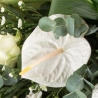 Contemporary White Sheaf - same day or named day delivery - Rushes Florist