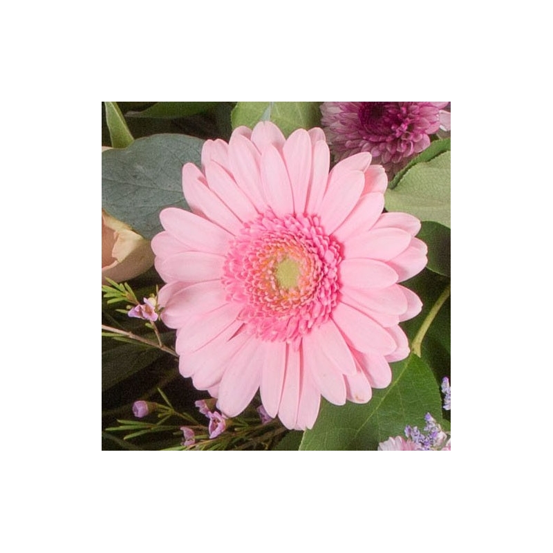 Pink and Lilac Sheaf - same day or named day delivery - Rushes Florist