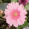 Pink and Lilac Sheaf - same day or named day delivery - Rushes Florist