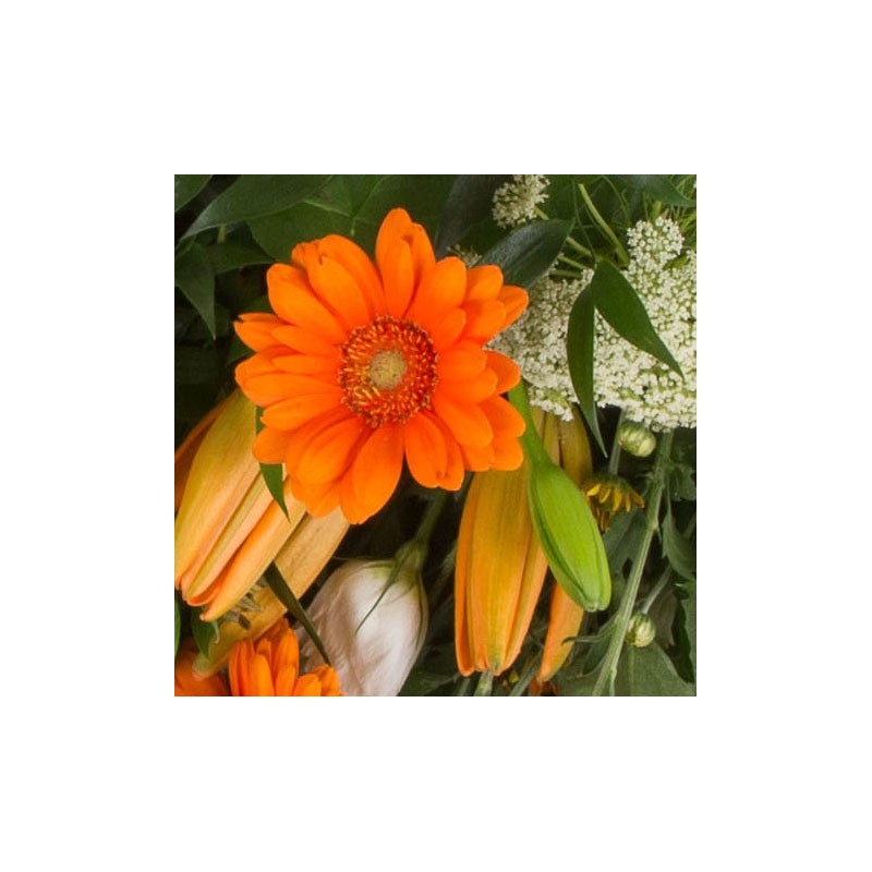 Orange and White Sheaf - same day or named day delivery - Rushes Florist
