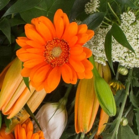 Orange and White Sheaf - same day or named day delivery - Rushes Florist