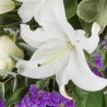 White and Purple Sheaf - same day or named day delivery - Rushes Florist
