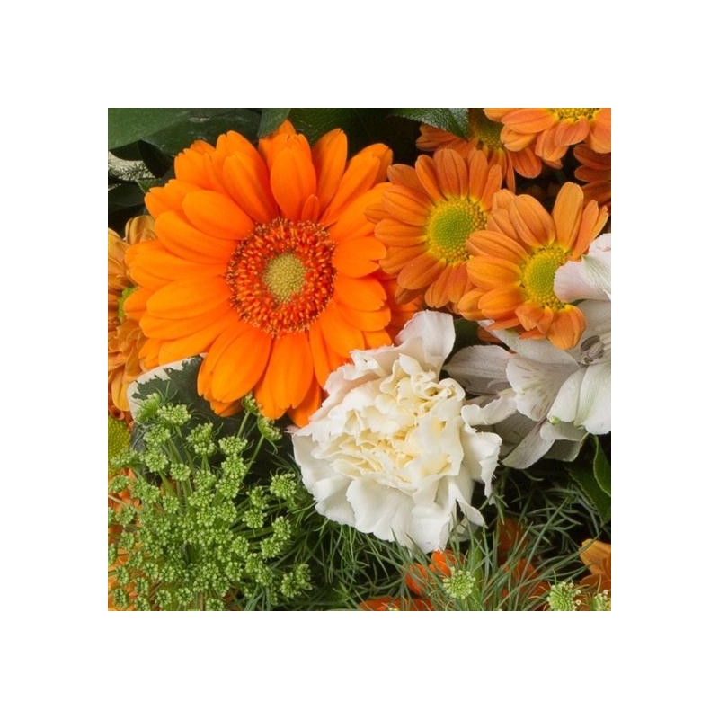 Florist Choice Posy - same day or named day delivery - Rushes Florist