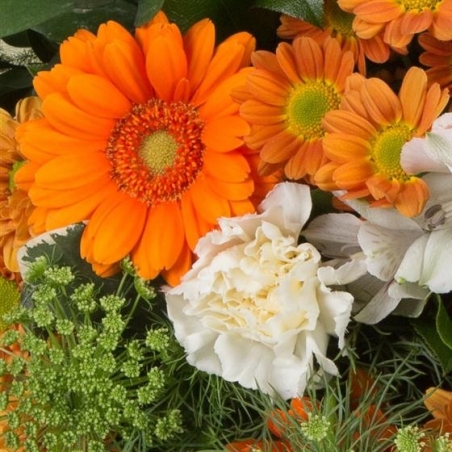 Florist Choice Posy - same day or named day delivery - Rushes Florist