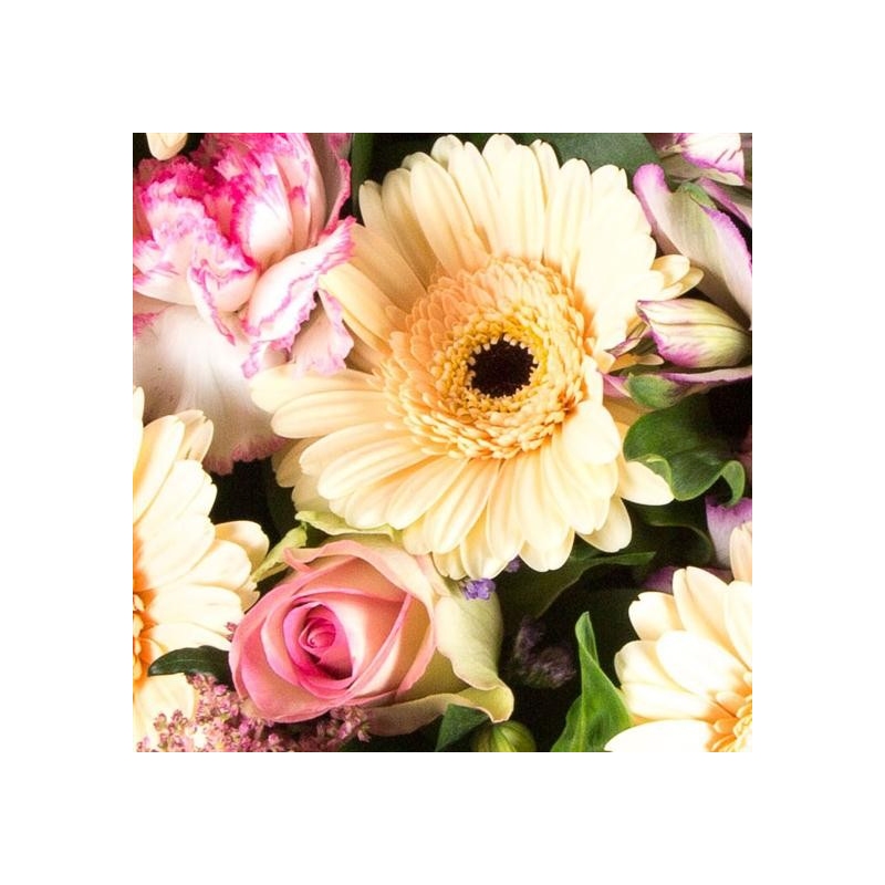 Florist Choice Posy - same day or named day delivery - Rushes Florist