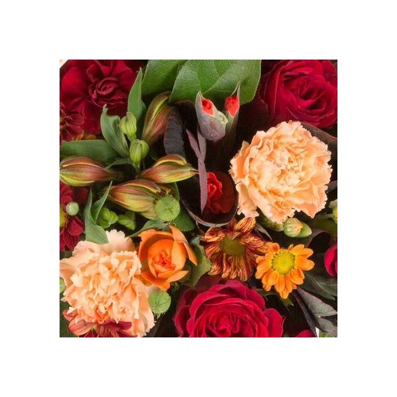 Florist Choice Posy - same day or named day delivery - Rushes Florist