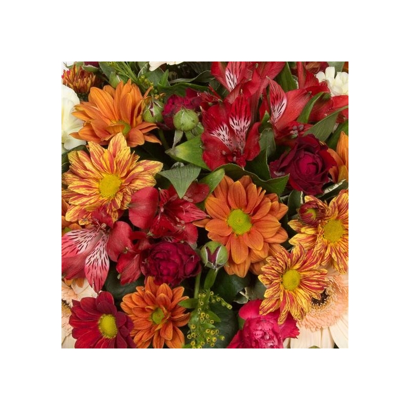 Autumnal Posy - same day or named day delivery - Rushes Florist