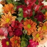 Autumnal Posy - same day or named day delivery - Rushes Florist