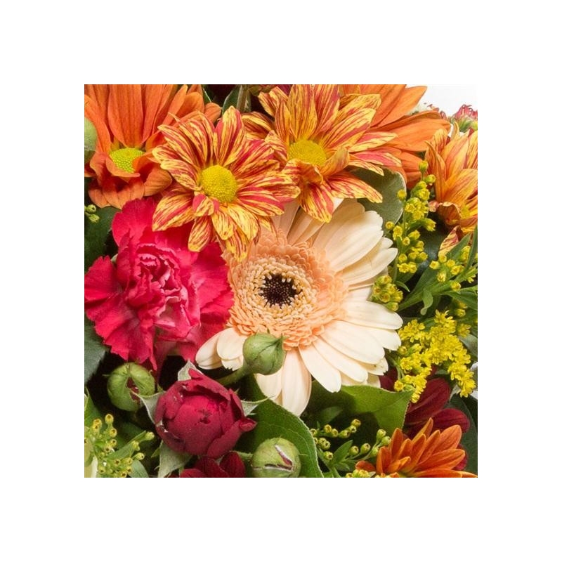 Autumnal Posy - same day or named day delivery - Rushes Florist
