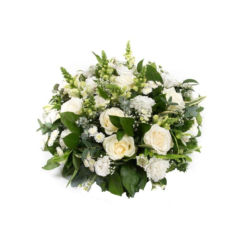 Classical White Posy - same day or named day delivery - Rushes Florist