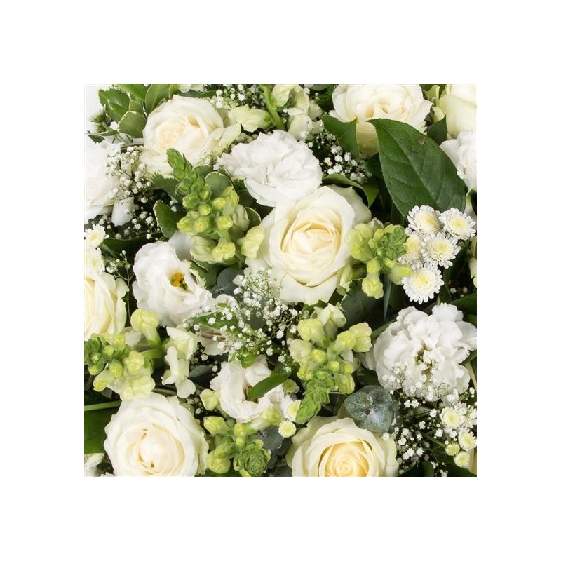 Classical White Posy - same day or named day delivery - Rushes Florist