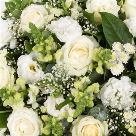 Classical White Posy - same day or named day delivery - Rushes Florist