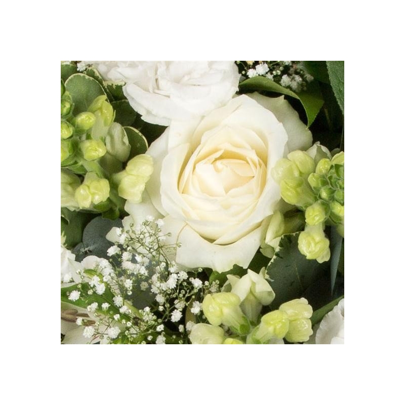 Classical White Posy - same day or named day delivery - Rushes Florist