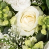 Classical White Posy - same day or named day delivery - Rushes Florist