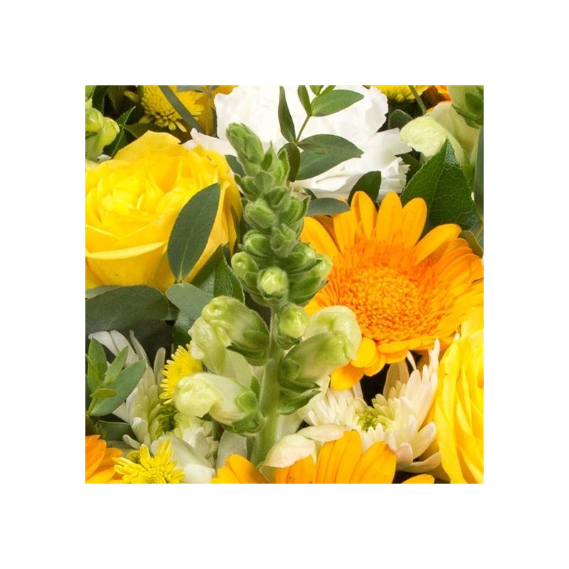 Gold and White Posy - same day or named day delivery - Rushes Florist