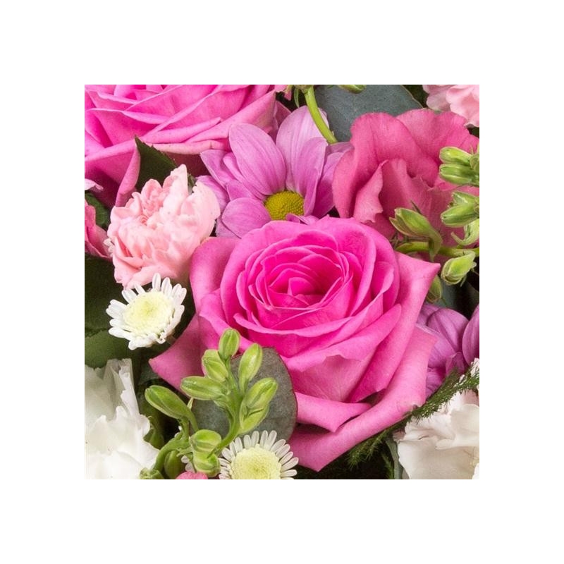 Pink and Cream Posy - same day or named day delivery - Rushes Florist