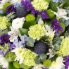 Lime and White Posy - same day or named day delivery - Rushes Florist