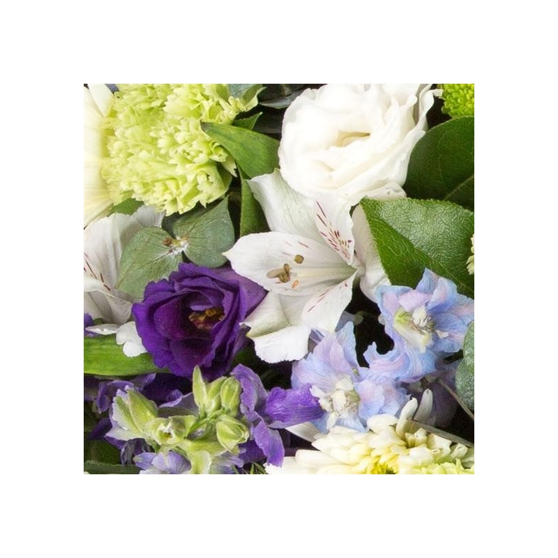 Lime and White Posy - same day or named day delivery - Rushes Florist