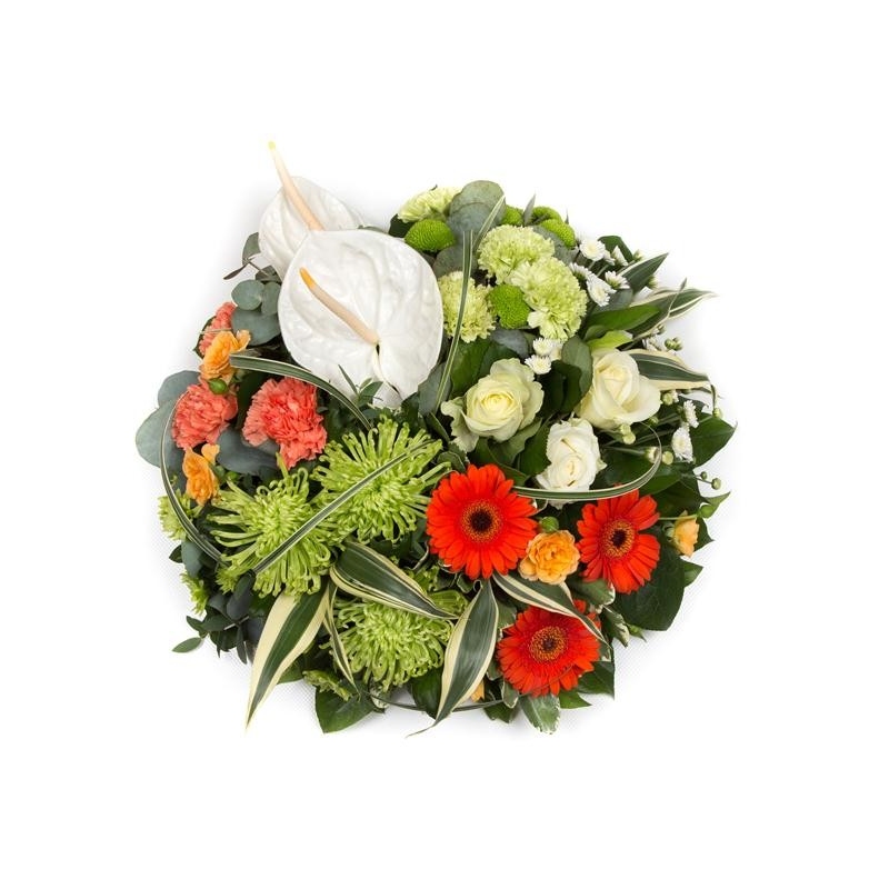 Sectioned Posy - same day or named day delivery - Rushes Florist