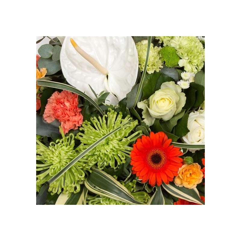 Sectioned Posy - same day or named day delivery - Rushes Florist