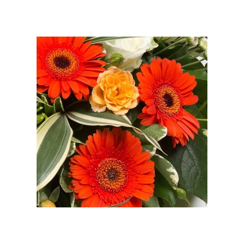 Sectioned Posy - same day or named day delivery - Rushes Florist