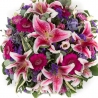 Stargazer Posy Pad - same day or named day delivery - Rushes Florist