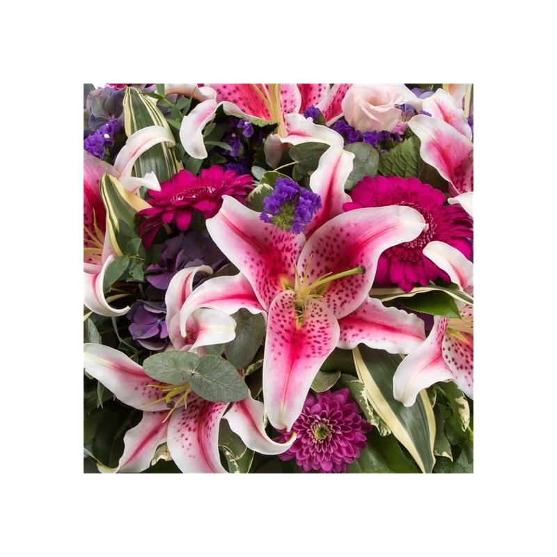 Stargazer Posy Pad - same day or named day delivery - Rushes Florist