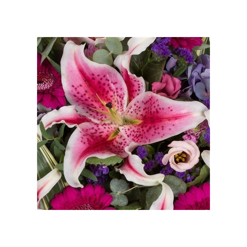 Stargazer Posy Pad - same day or named day delivery - Rushes Florist