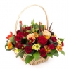 Autumnal Basket - same day or named day delivery - Rushes Florist