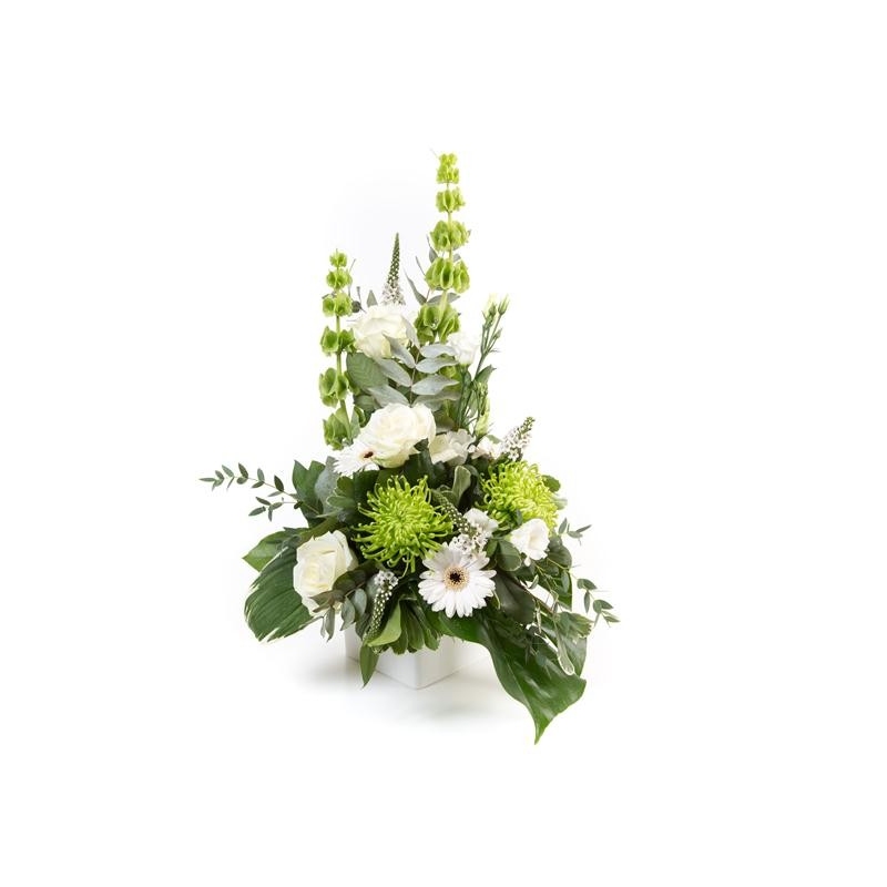 Jade - same day or named day delivery - Rushes Florist
