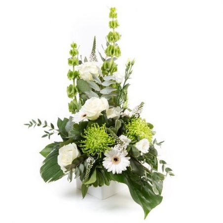 Jade - same day or named day delivery - Rushes Florist