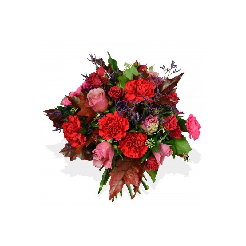 Buy Carnation and Roses at Rushes, Flower