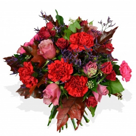 Carnation and Roses - same day or named day delivery - Rushes Florist