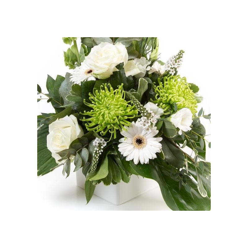 Jade - same day or named day delivery - Rushes Florist