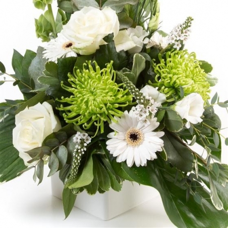 Jade - same day or named day delivery - Rushes Florist