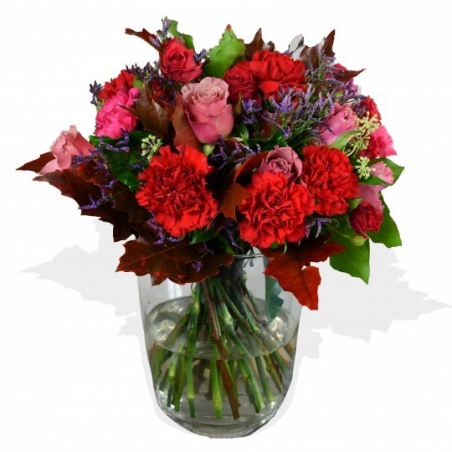 Carnation and Roses - same day or named day delivery - Rushes Florist