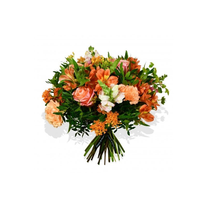 Snapdragon - same day or named day delivery - Rushes Florist